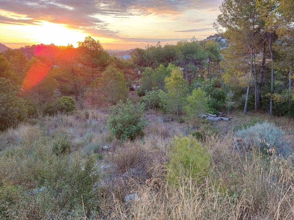 Byggegrund til salg i Gilet - € 75.000 (Ref: 9262475)