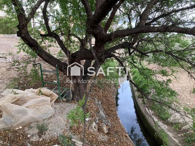 Tomt till salu i Cehegín - 39 900 € (Ref: 9276234)