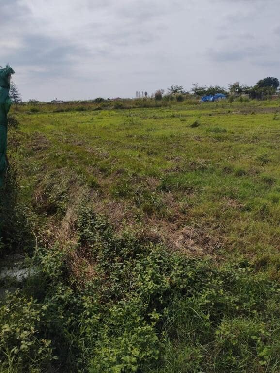 Undeveloped Land for sale in Cullera - € 17,000 (Ref: 9308439)