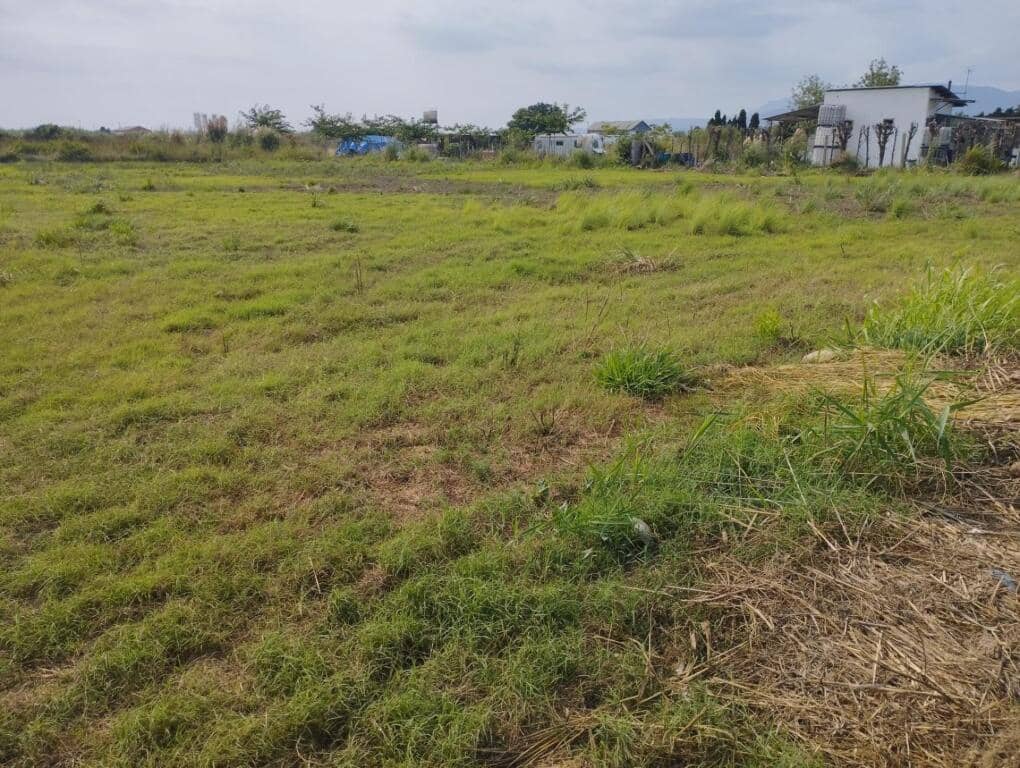 Undeveloped Land for sale in Cullera - € 17,000 (Ref: 9308439)