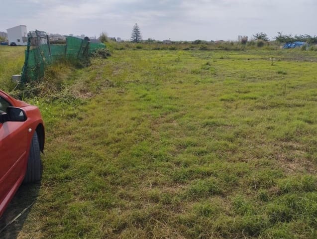 Mark till salu i La Vega - Marenyet, Cullera - 17 000 € (Ref: 9308439)