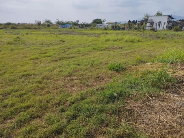 Mark till salu i La Vega - Marenyet, Cullera - 17 000 € (Ref: 9308439)