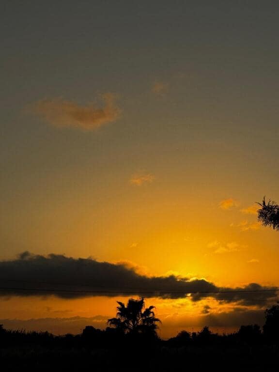 Teren niezagospodarowany na sprzedaż w Cullera - 220 000 € (Ref: 9308441)