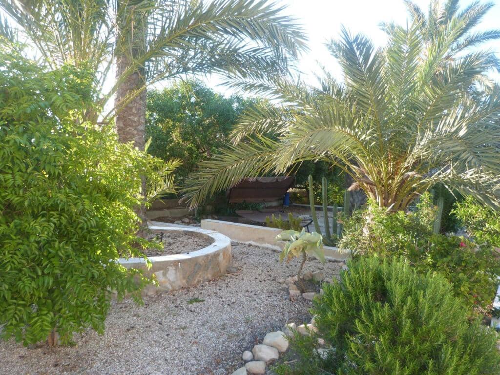 4 camera da letto Finca/Casa di Campagna in vendita in Elche / Elx con piscina - 270.000 € (Rif: 9310760)