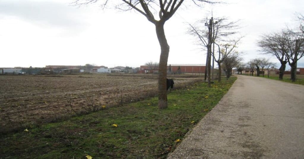 Teren niezagospodarowany na sprzedaż w Villarrubia de Santiago - 37 000 € (Ref: 9321737)