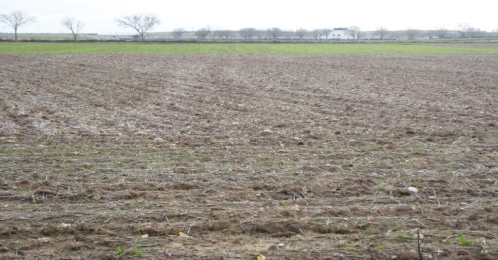 Teren niezagospodarowany na sprzedaż w Villarrubia de Santiago - 37 000 € (Ref: 9321737)