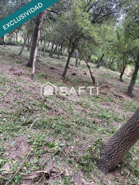 Terrain à Bâtir à vendre à Cervello - 60 000 € (Ref: 9326317)