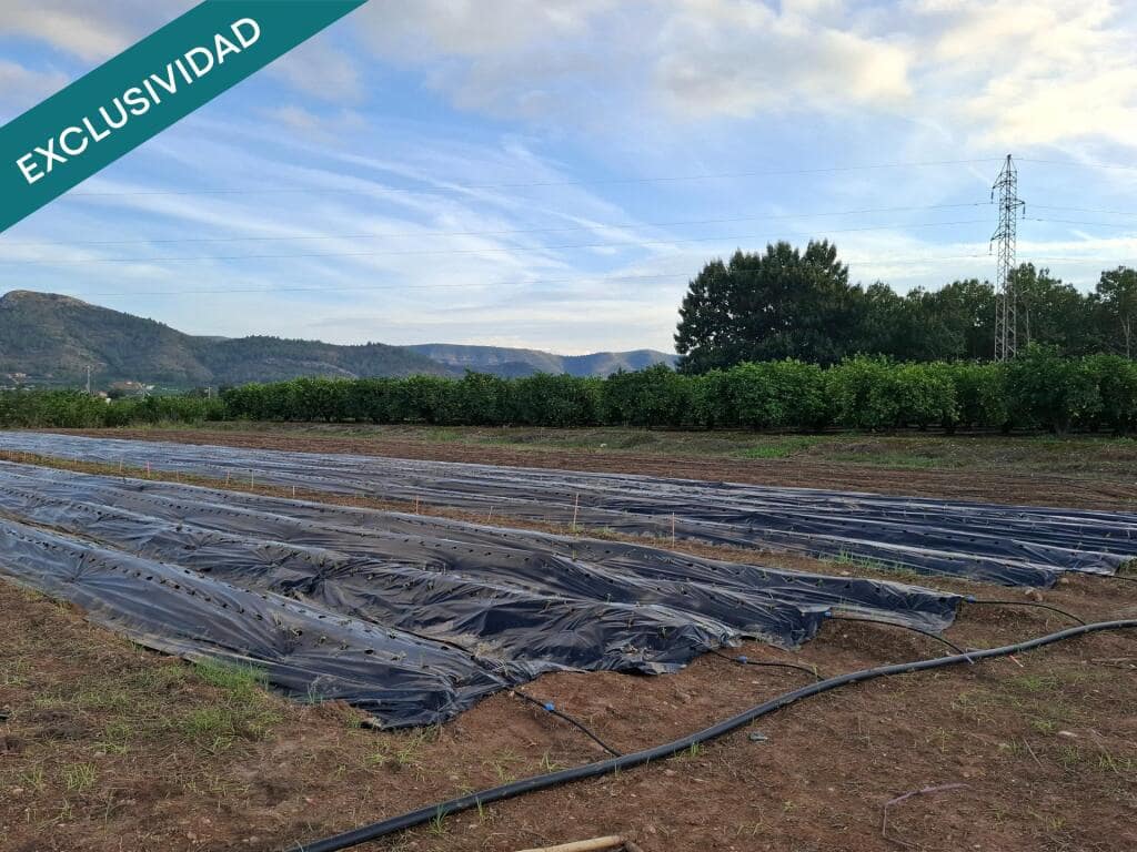 3 soveværelse Finca/Landehus til salg i Cerda med swimmingpool - € 145.000 (Ref: 9330512)