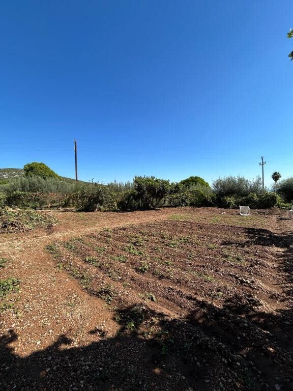 4 soverom Finca/Herregård til salgs i Alcanar med svømmebasseng garasje - € 450 000 (Ref: 9330519)