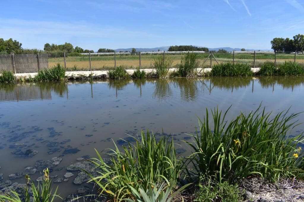 3 soveværelse Finca/Landehus til salg i Amposta med swimmingpool garage - € 569.900 (Ref: 9337819)