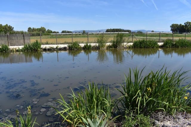 3 bedroom Finca/Country House for sale in Amposta with pool garage - € 569,900 (Ref: 9337819)