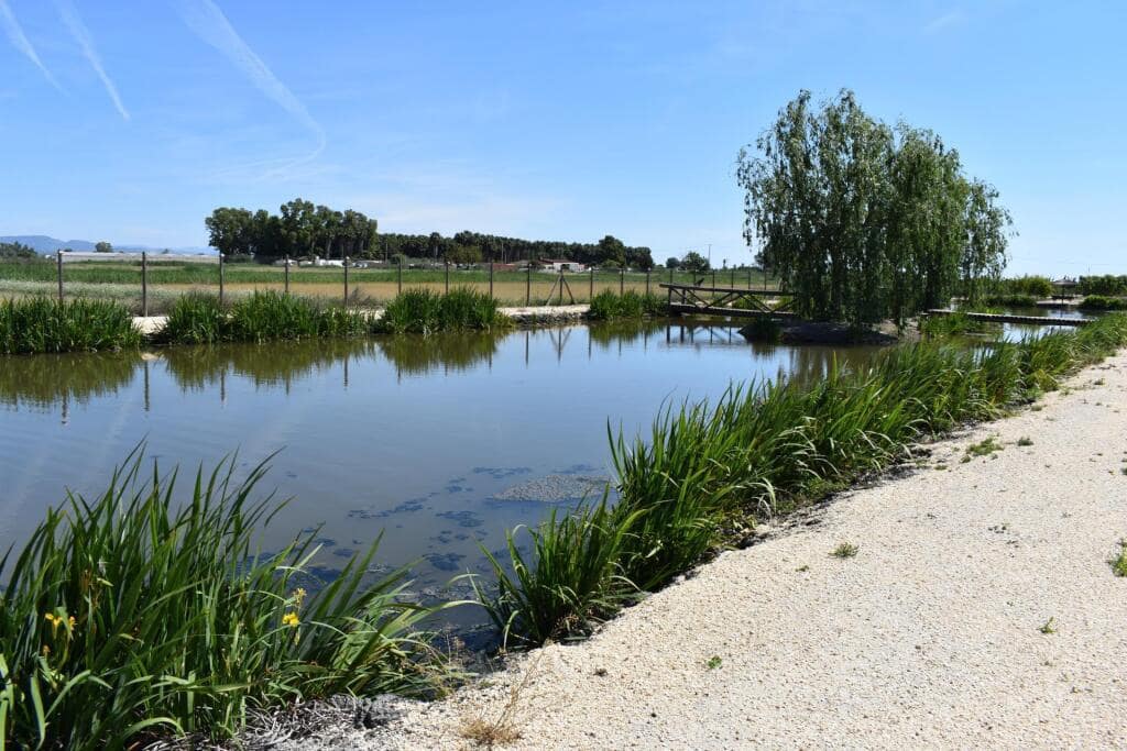 3 soveværelse Finca/Landehus til salg i Amposta med swimmingpool garage - € 569.900 (Ref: 9337819)