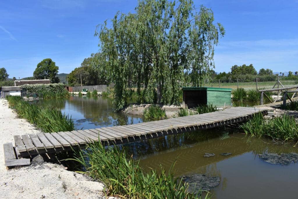 3 soveværelse Finca/Landehus til salg i Amposta med swimmingpool garage - € 569.900 (Ref: 9337819)