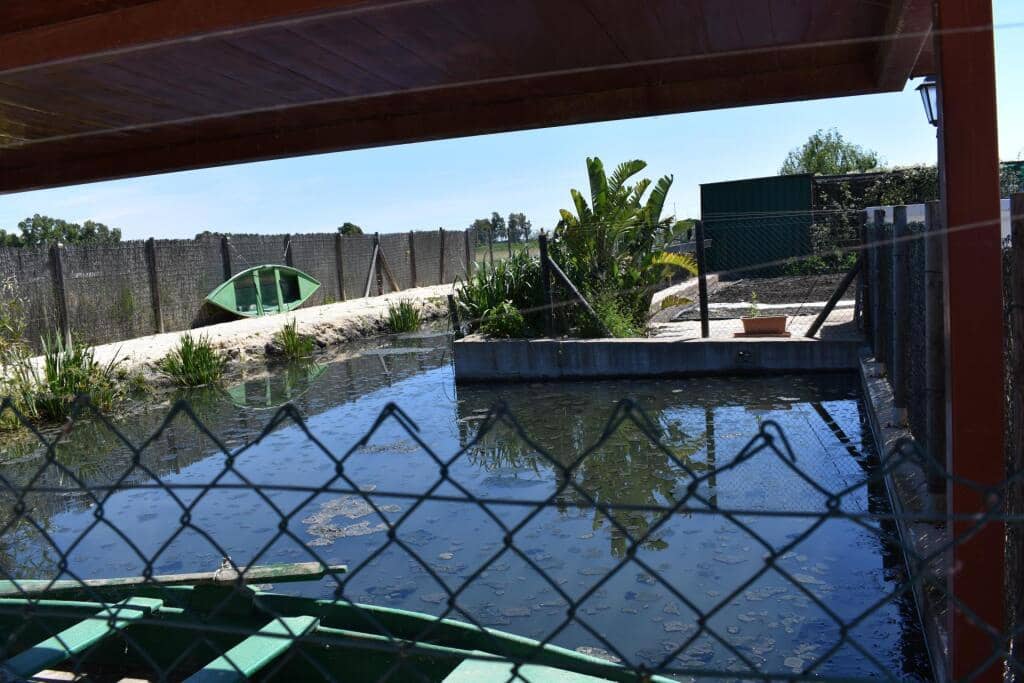 3 soveværelse Finca/Landehus til salg i Amposta med swimmingpool garage - € 569.900 (Ref: 9337819)