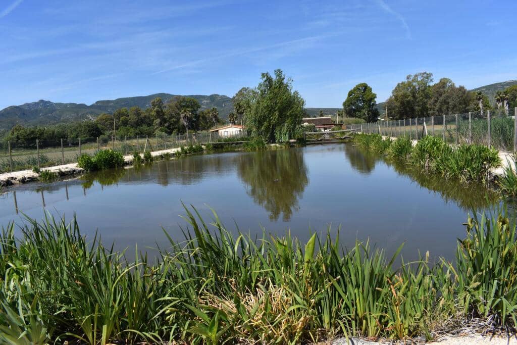 3 soveværelse Finca/Landehus til salg i Amposta med swimmingpool garage - € 569.900 (Ref: 9337819)