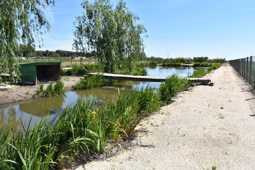 3 soveværelse Finca/Landehus til salg i Amposta med swimmingpool garage - € 569.900 (Ref: 9337819)