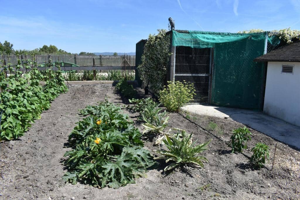 3 soveværelse Finca/Landehus til salg i Amposta med swimmingpool garage - € 569.900 (Ref: 9337819)