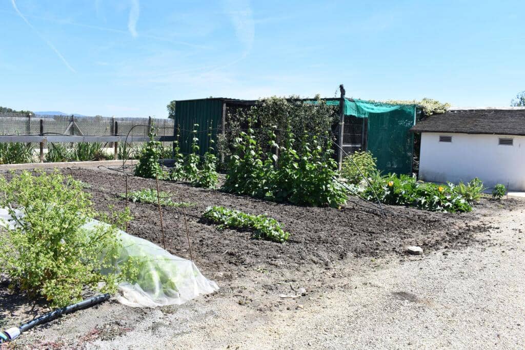 3 soveværelse Finca/Landehus til salg i Amposta med swimmingpool garage - € 569.900 (Ref: 9337819)