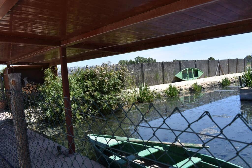 3 soveværelse Finca/Landehus til salg i Amposta med swimmingpool garage - € 569.900 (Ref: 9337819)