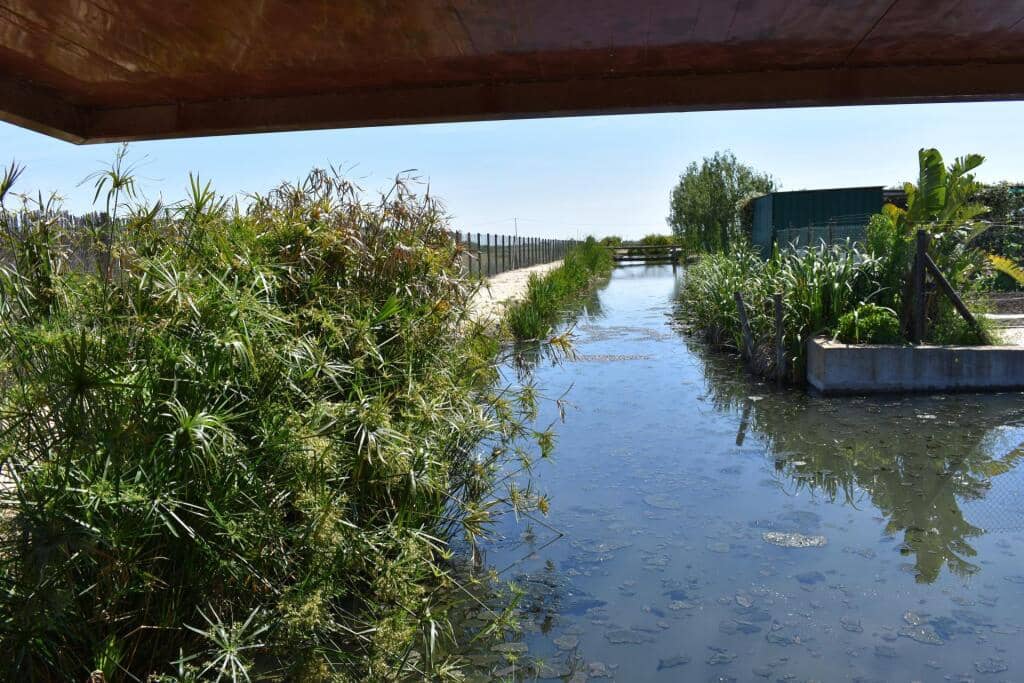 3 soveværelse Finca/Landehus til salg i Amposta med swimmingpool garage - € 569.900 (Ref: 9337819)