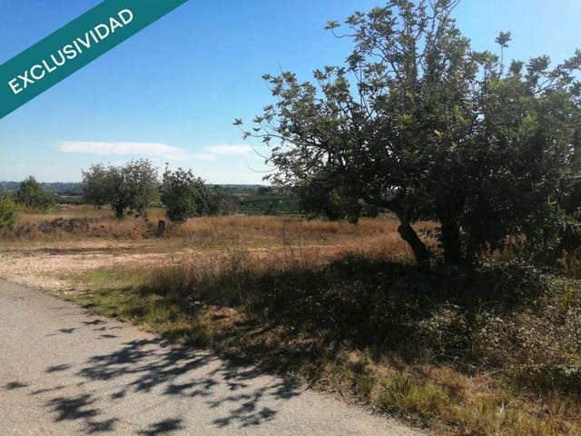 Ubebygd land til salgs i Godelleta - € 70 000 (Ref: 9344646)