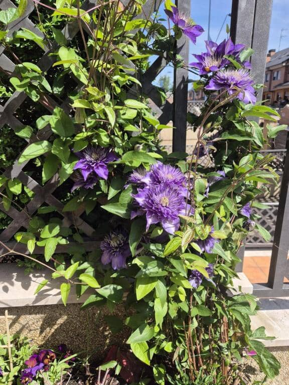 4 slaapkamer Rijtjeshuis te koop in San Andres del Rabanedo met garage - € 332.000 (Ref: 9344649)