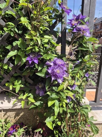 4 slaapkamer Rijtjeshuis te koop in San Andrés del Rabanedo met garage - € 332.000 (Ref: 9344649)