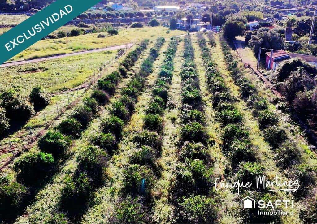 Mark till salu i Denia - 70 000 € (Ref: 9347126)