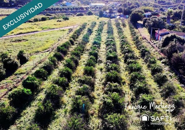 Mark till salu i La Xara - La Sella, Dénia - 70 000 € (Ref: 9347126)