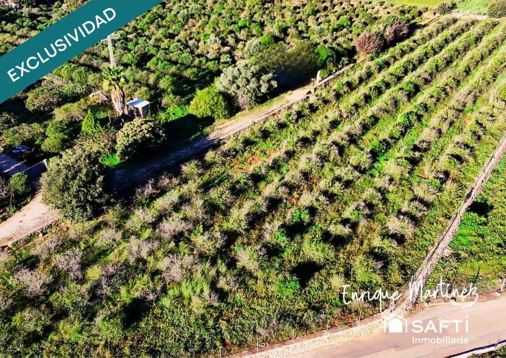 Mark till salu i Denia - 70 000 € (Ref: 9347126)