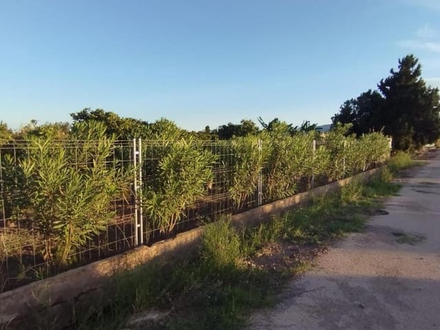 Mark till salu i La Vega - Marenyet, Cullera - 125 000 € (Ref: 9349356)