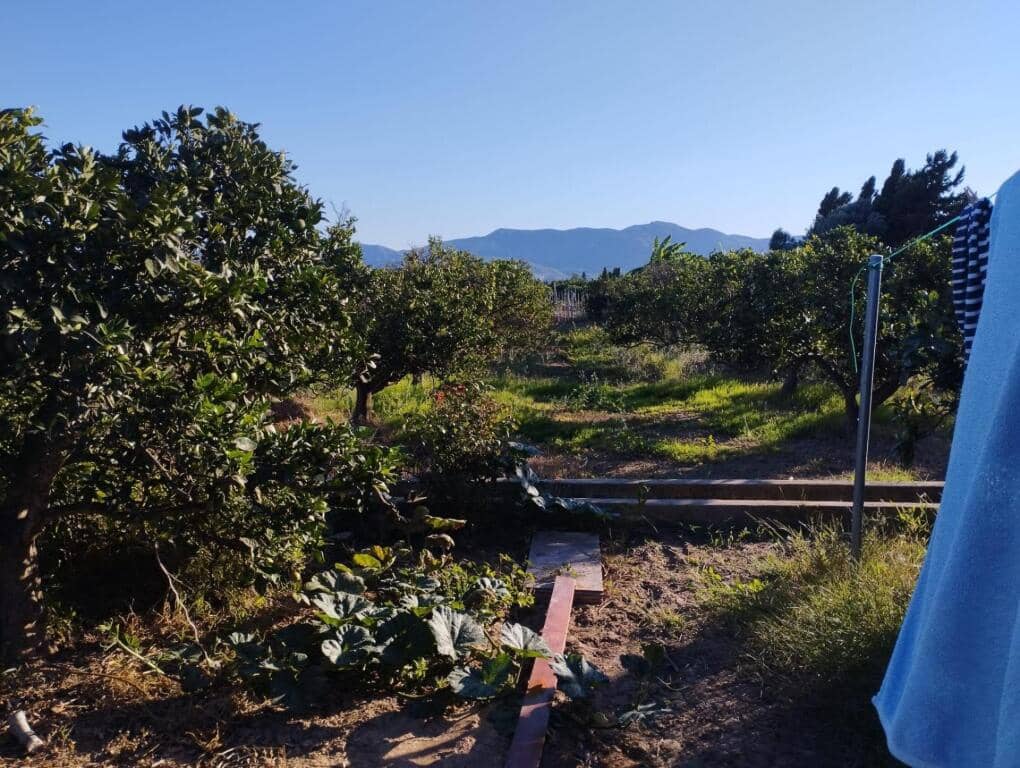 Mark till salu i Cullera - 125 000 € (Ref: 9349356)