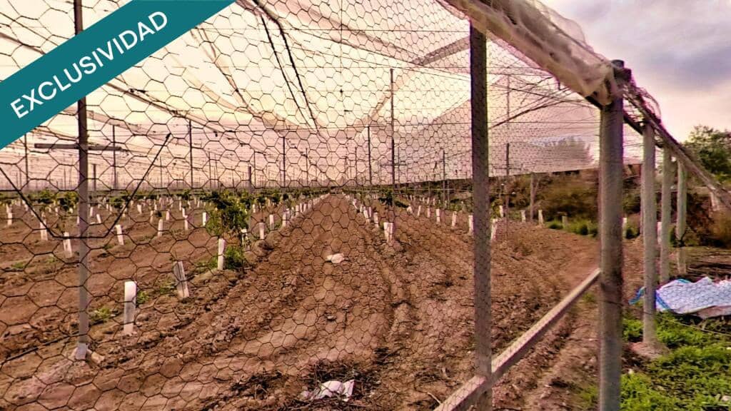 3 soverom Finca/Herregård til salgs i Novelda med svømmebasseng garasje - € 430 000 (Ref: 9353420)