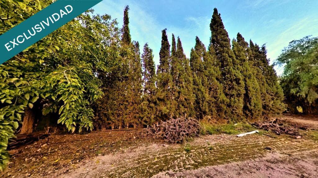 3 soverom Finca/Herregård til salgs i Novelda med svømmebasseng garasje - € 430 000 (Ref: 9353420)