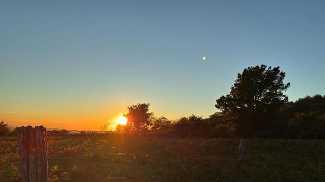 Rakentamaton maa myytävänä paikassa A Lama - 15 375 € (Ref: 9355768)