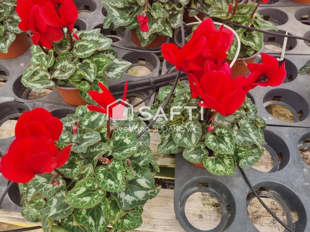 Undeveloped Land for sale in Sant Cebria de Vallalta - € 380,000 (Ref: 9359383)