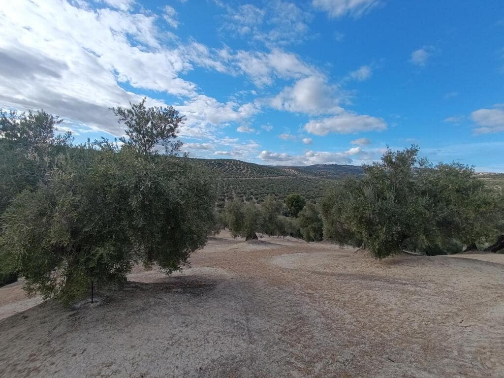 Grond te koop in Ubeda - € 115.000 (Ref: 9367344)