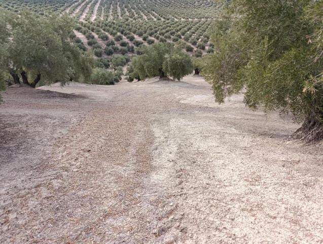 Grunde uden byggetilladelser til salg i Ubeda - € 115.000 (Ref: 9367344)