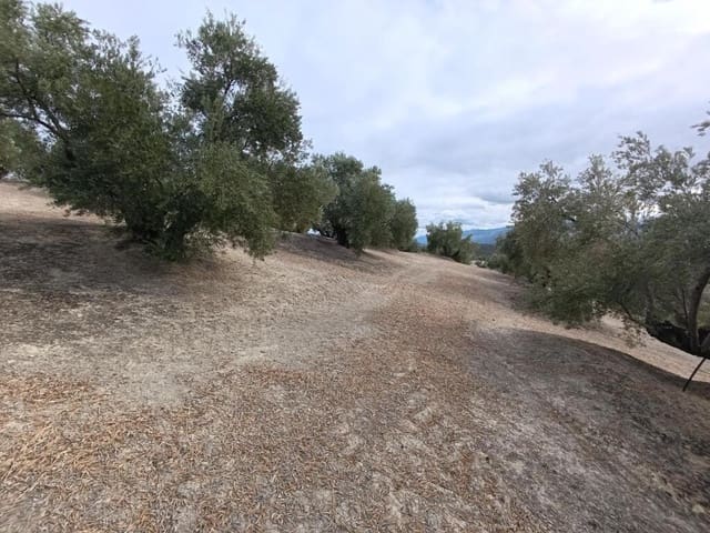Grunde uden byggetilladelser til salg i Ubeda - € 115.000 (Ref: 9367344)