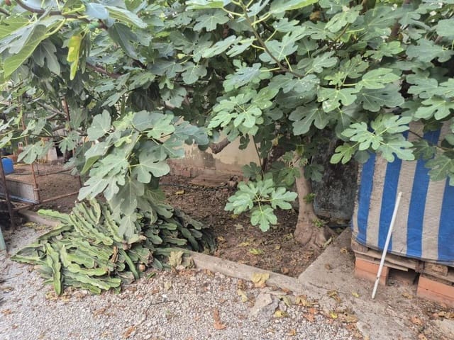 Terrain à Bâtir à vendre à Puçol - 150 000 € (Ref: 9375152)