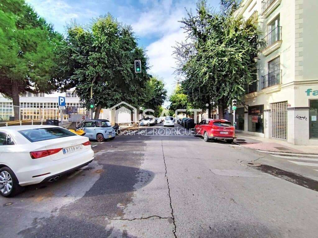 4 sovrum Lägenhet till salu i Badajoz stad - 295 000 € (Ref: 9382565)