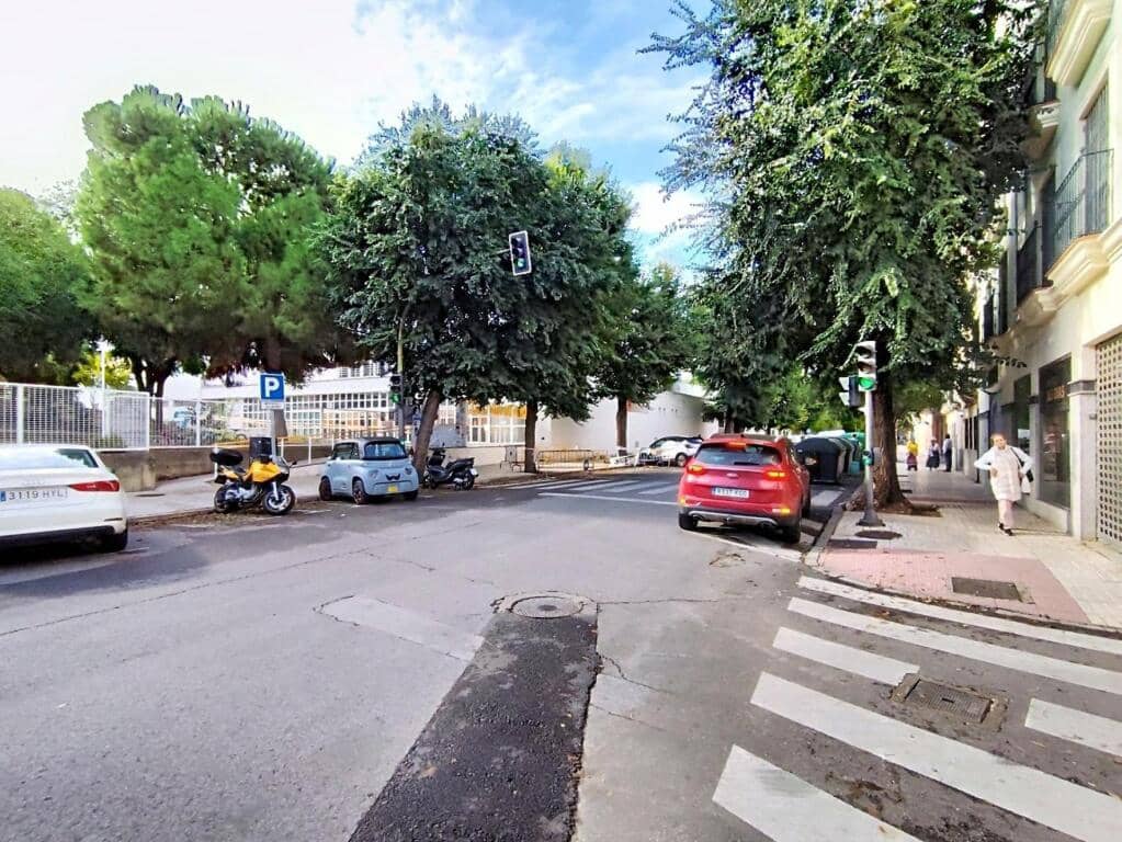 4 sovrum Lägenhet till salu i Badajoz stad - 295 000 € (Ref: 9382565)