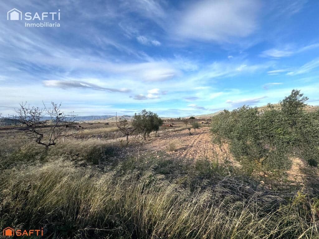 Undeveloped Land for sale in Monovar / Monover - € 42,999 (Ref: 9387798)