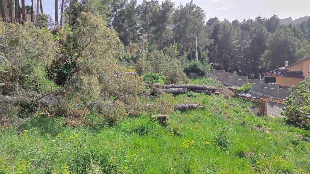 Building Plot for sale in Cabrera d'Anoia - € 17,900 (Ref: 9398357)