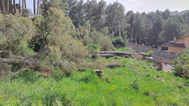 Building Plot for sale in Cabrera d'Anoia - € 17,900 (Ref: 9398357)