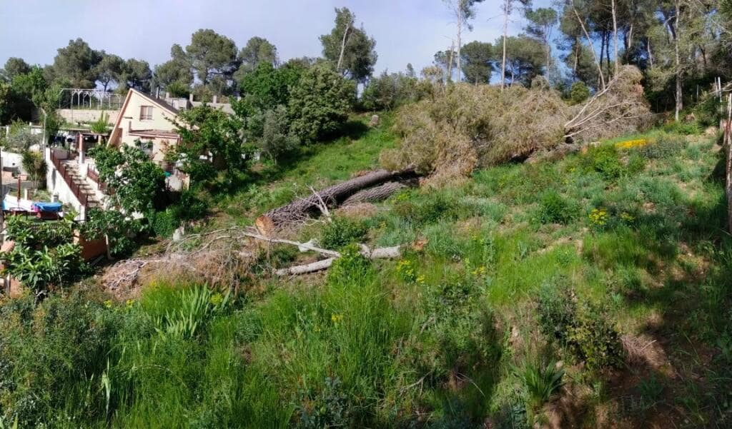 Building Plot for sale in Cabrera d'Anoia - € 17,900 (Ref: 9398357)