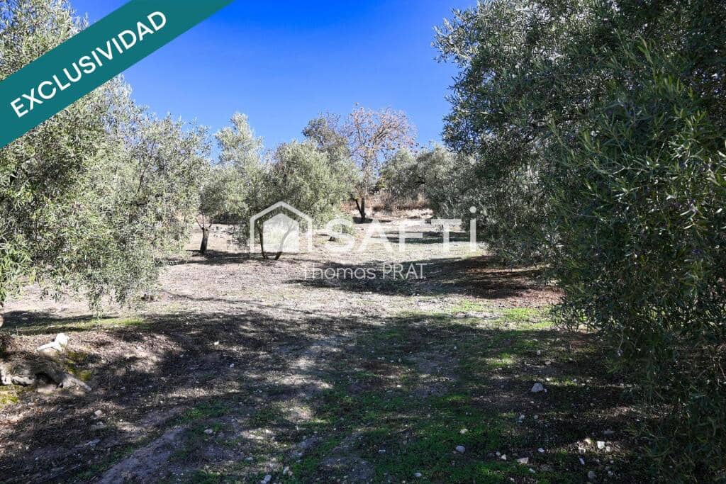 4 bedroom Finca/Country House for sale in Villanueva de Algaidas with garage - € 119,500 (Ref: 9403256)