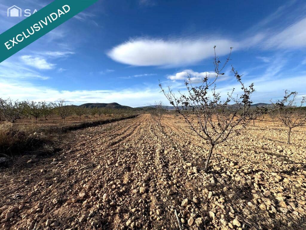 Mark till salu i Monovar / Monover - 28 900 € (Ref: 9403263)