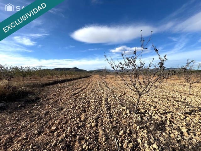 Mark till salu i Monóvar / Monóver - 28 900 € (Ref: 9403263)