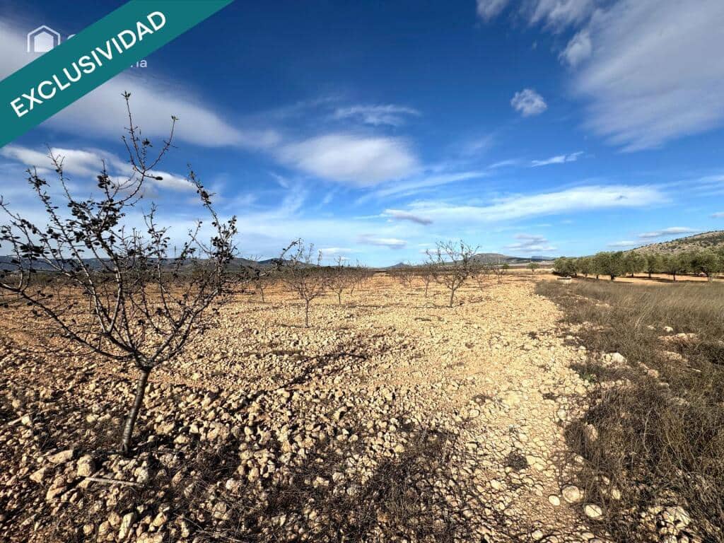 Mark till salu i Monovar / Monover - 28 900 € (Ref: 9403263)